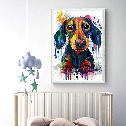 Dog Dachshund | Diamond Painting