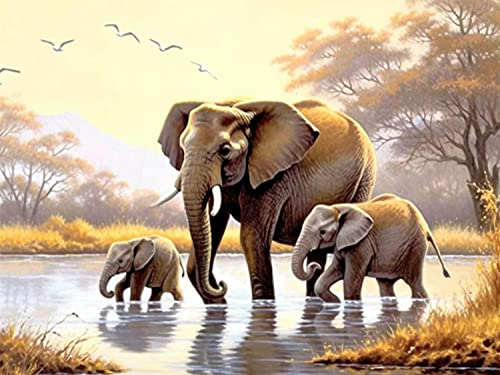 Elephant | Diamond Painting