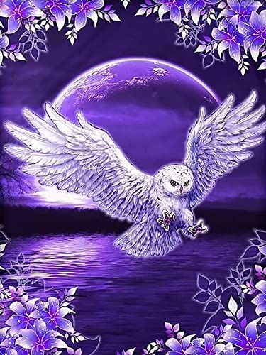 White Owl | Diamond Painting