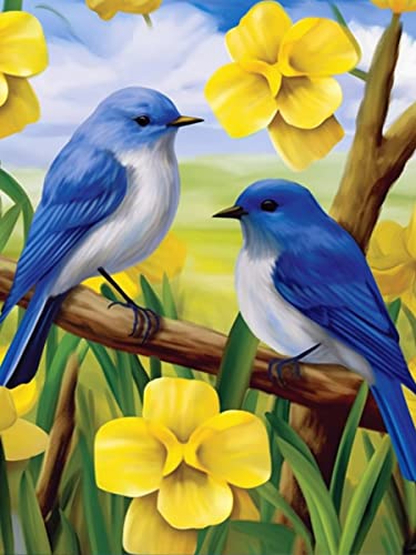 Blue Bird | Diamond Painting