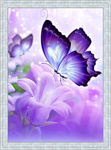 Butterfly | Diamond Painting