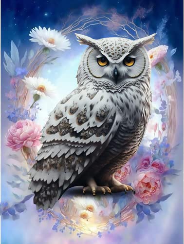 Owl | Diamond Painting