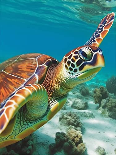 Turtle | Diamond Painting