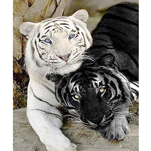 Tiger Blue Eyes | Diamond Painting