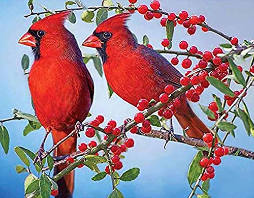 Cardinal Bird | Diamond Painting