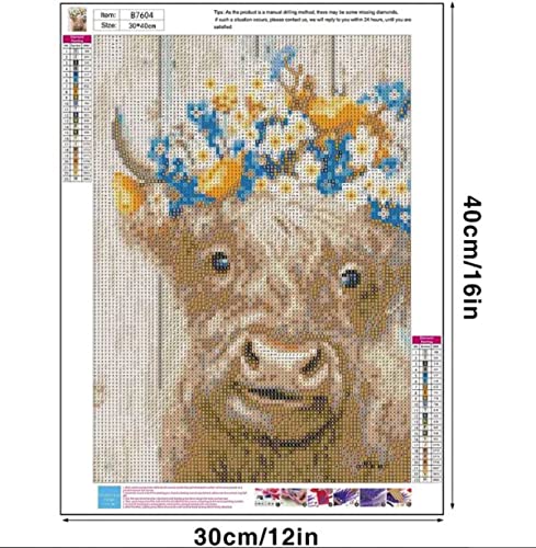 Highland Cow | Diamond Painting