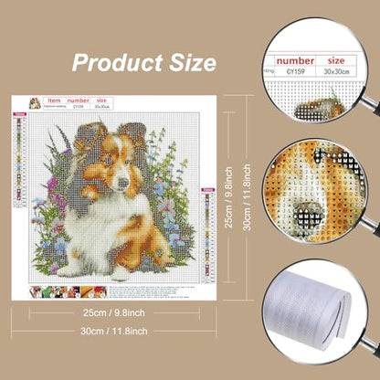 Dog Australian Shepherd | Diamond Painting