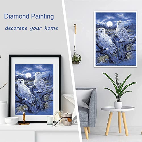 White Owl | Diamond Painting