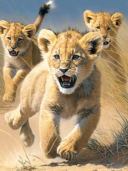 Tiger | Diamond Painting