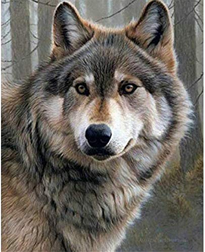 Wolf | Diamond Painting