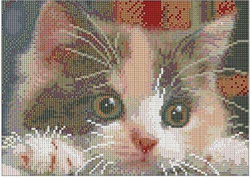 Cat | Diamond Painting