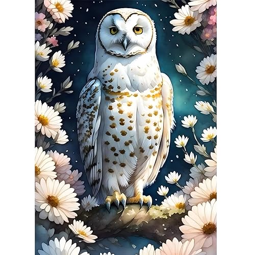 Owl | Diamond Painting