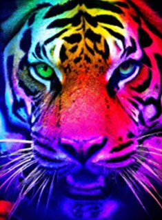 Tiger | Diamond Painting