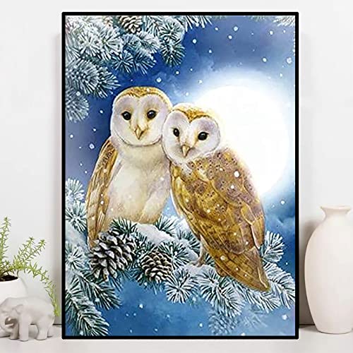 Owl | Diamond Painting