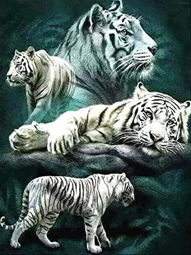 White Tiger | Diamond Painting