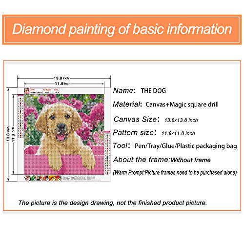 Yellow Labrador Dog | Diamond Painting