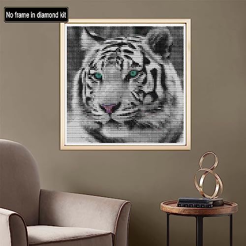 White Tiger Blue Eyes | Diamond Painting