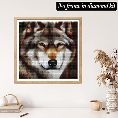 Wolf | Diamond Painting