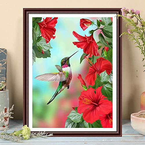 Hummingbird | Diamond Painting