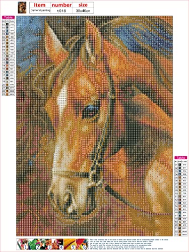 Horse | Diamond Painting