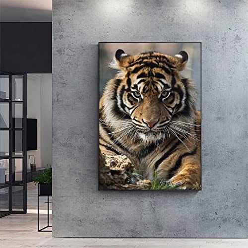 Tiger | Diamond Painting