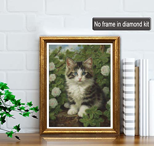 Maine Coon Cat | Diamond Painting