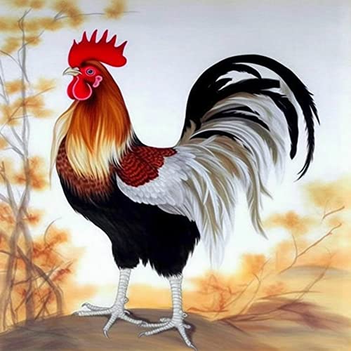 Rooster Chicken | Diamond Painting