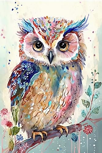 Owl | Diamond Painting