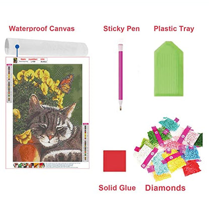 Butterfly Cat | Diamond Painting