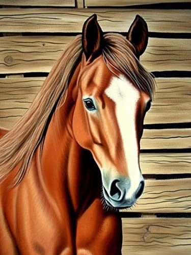 Horse | Diamond Painting