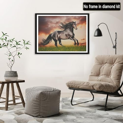 Black Horse | Diamond Painting