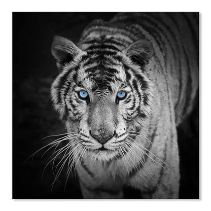 White Tiger Blue Eyes | Diamond Painting