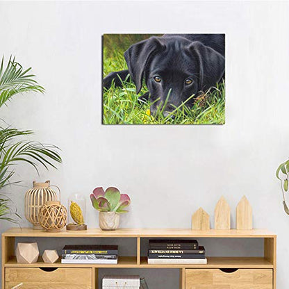 Dog Great Dane | Diamond Painting