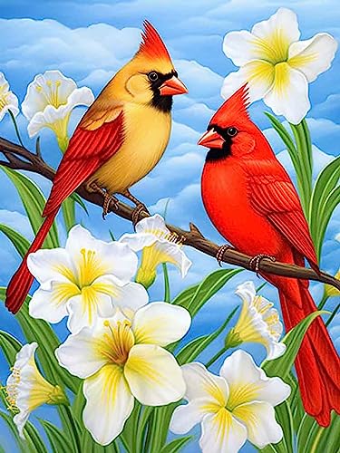 Cardinal Bird | Diamond Painting
