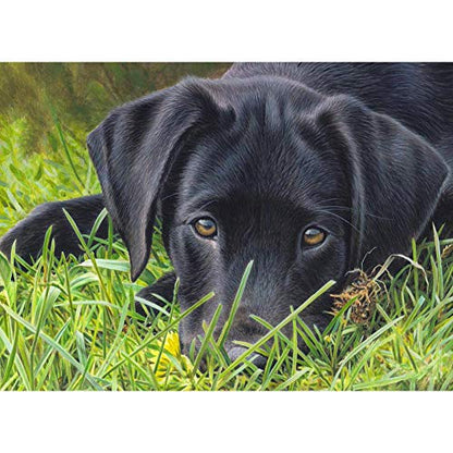 Dog Great Dane | Diamond Painting