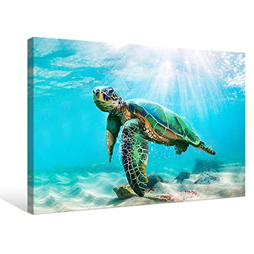 Turtle | Diamond Painting