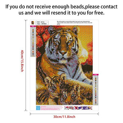 Tiger | Diamond Painting