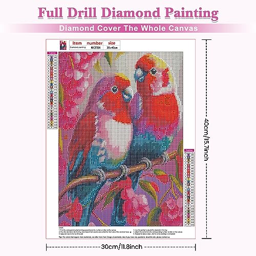 Love Birds Parrot | Diamond Painting