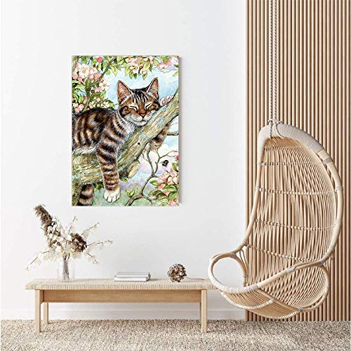 Cat Maine Coon | Diamond Painting