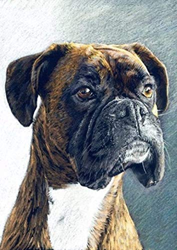 Boxer Dog | Diamond Painting