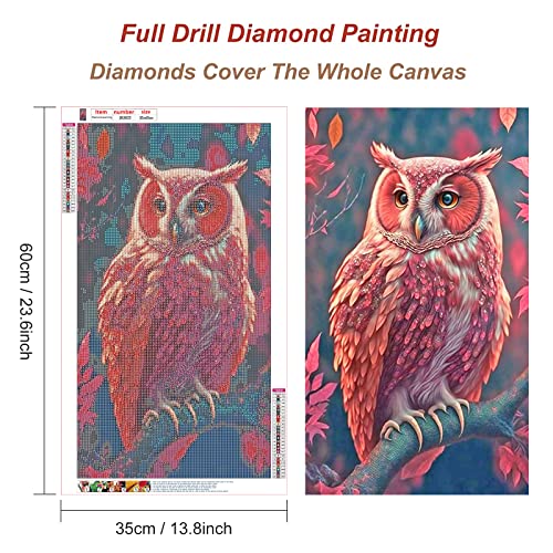 Owl | Diamond Painting