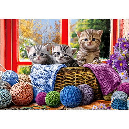 Cat | Diamond Painting