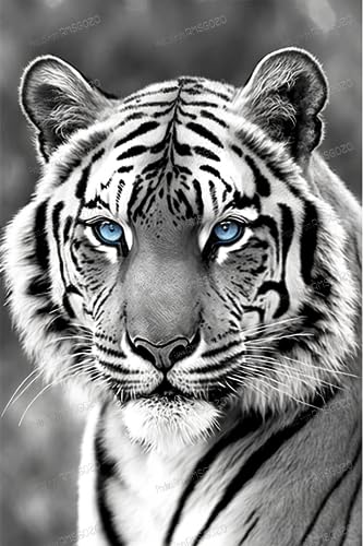 White Tiger Blue Eyes | Diamond Painting