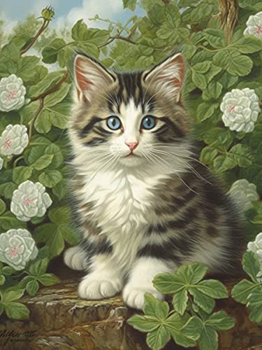 Maine Coon Cat | Diamond Painting