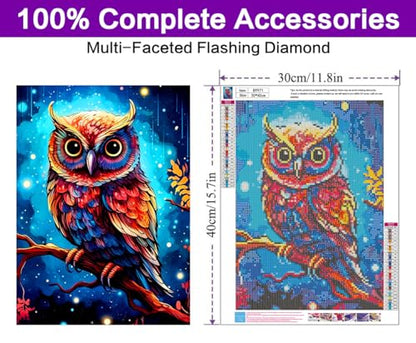 Owl | Diamond Painting