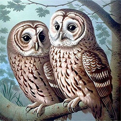 Owl | Diamond Painting