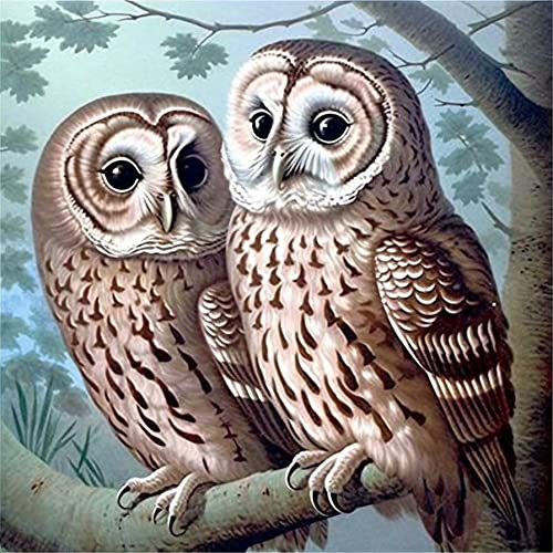 Owl | Diamond Painting