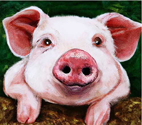 Pig | Diamond Painting