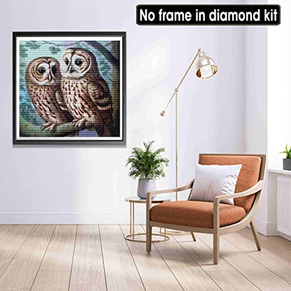 Owl | Diamond Painting