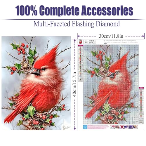 Bird Christmas | Diamond Painting